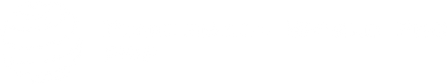 Pickleball World Pro
